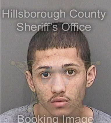 Javier Gonzalezmedina - Hillsborough County, FL 