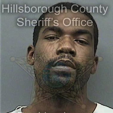 Ronald McGinty - Hillsborough County, FL 