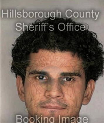 Michael McNamee - Hillsborough County, FL 