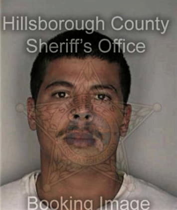 Patricio Ramosgarcia, - Hillsborough County, FL 