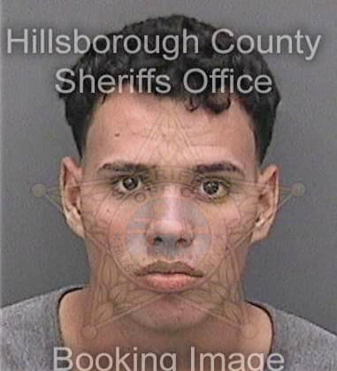 Jeffrey Thompson, - Hillsborough County, FL 