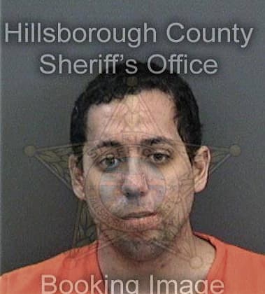 Alexander Valdes, - Hillsborough County, FL 