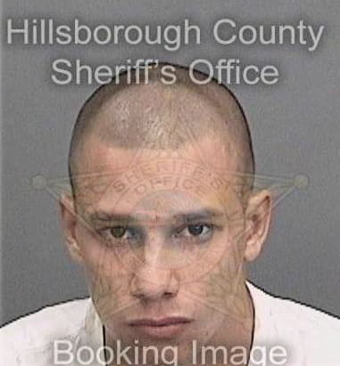 Oscar Veliz, - Hillsborough County, FL 