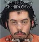 Danny Argueta-Santos, - Pinellas County, FL 