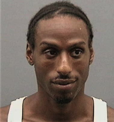 L Bradley - Hillsborough County, FL 