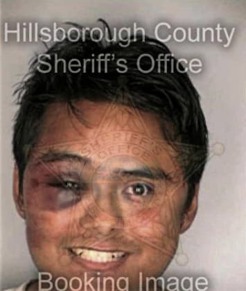 Risquermi Collazo - Hillsborough County, FL 