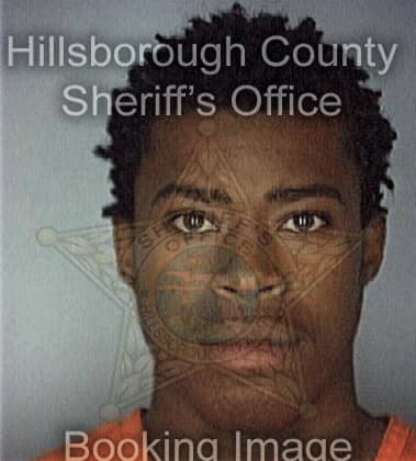 Ronald Hinton, - Hillsborough County, FL 