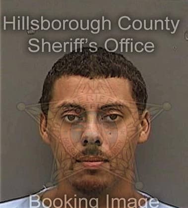 Ricky Lane, - Hillsborough County, FL 