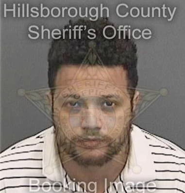 Terencio Martinezsantiago, - Hillsborough County, FL 