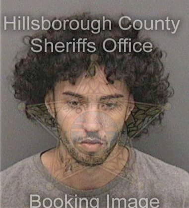 Reymon Morales, - Hillsborough County, FL 