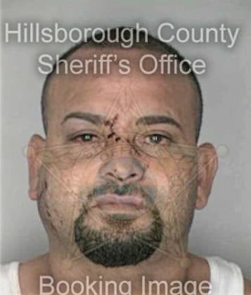 Jose Palacios, - Hillsborough County, FL 