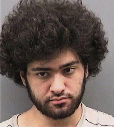 Alejandro Pena, - Hillsborough County, FL 