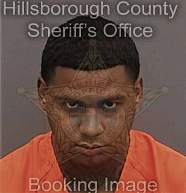 Marc Vega-Nieves, - Hillsborough County, FL 