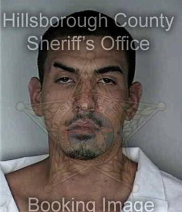 Nicholas Demas, - Hillsborough County, FL 