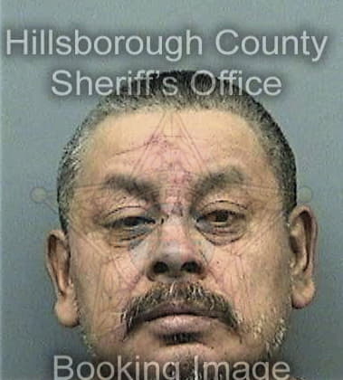 Raymond Estrella, - Hillsborough County, FL 