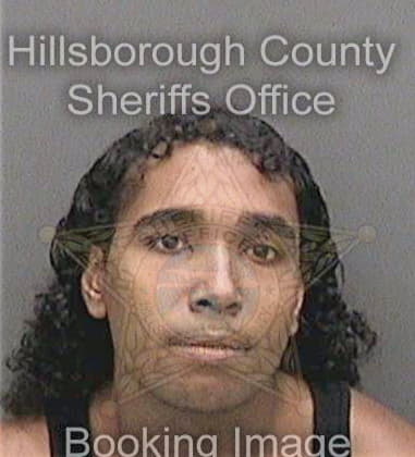 Anthony Evins, - Hillsborough County, FL 