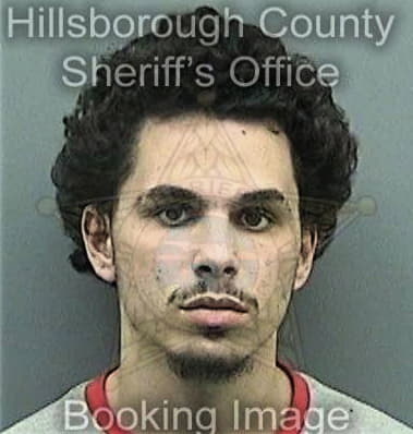 Jaime Garcia, - Hillsborough County, FL 