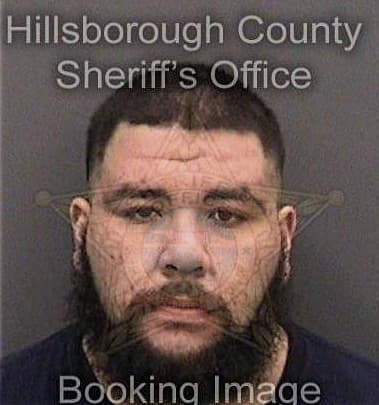 Hector Huertasguerrero, - Hillsborough County, FL 