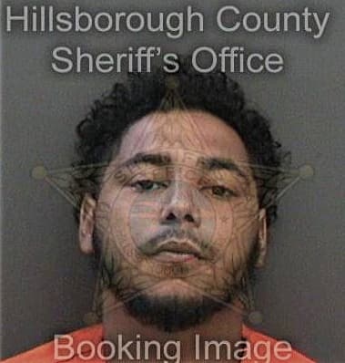 Celestino Magill, - Hillsborough County, FL 