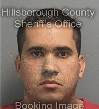 Jesus Mansogordillo, - Hillsborough County, FL 