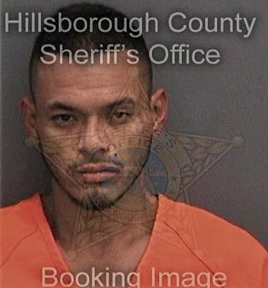 Oleg Menyhert - Hillsborough County, FL 