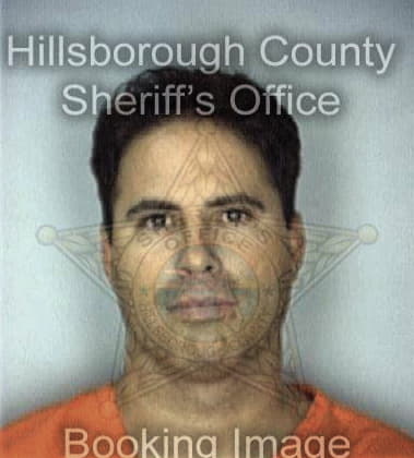 Edgar Quinones, - Hillsborough County, FL 