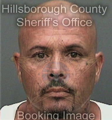 Jose Ramosllanos, - Hillsborough County, FL 