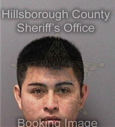 Mathew Anderson, - Hillsborough County, FL 