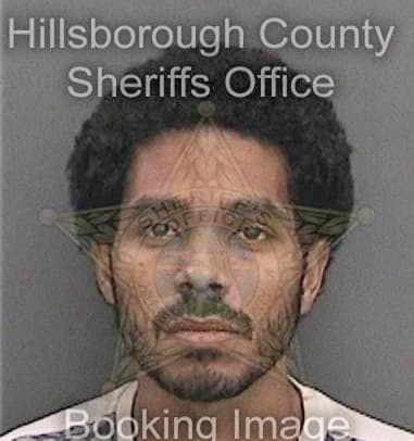 Johan Arrufat, - Hillsborough County, FL 