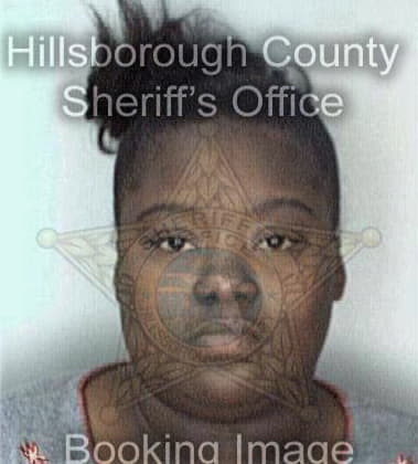 Erica Aydelotte, - Hillsborough County, FL 