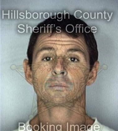 Anthony Ferlita, - Hillsborough County, FL 