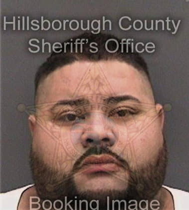 Gabriel Johnson, - Hillsborough County, FL 