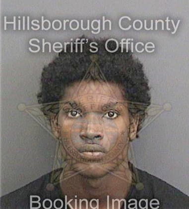 Errol Sampson, - Hillsborough County, FL 