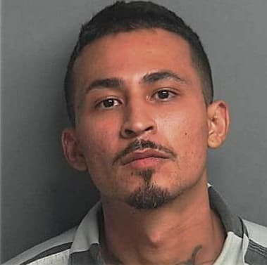 Luis Sosa-Castillo, - Montgomery County, TX 