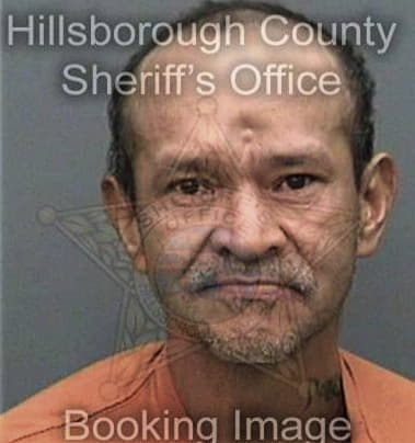 Anthony Vannostran, - Hillsborough County, FL 