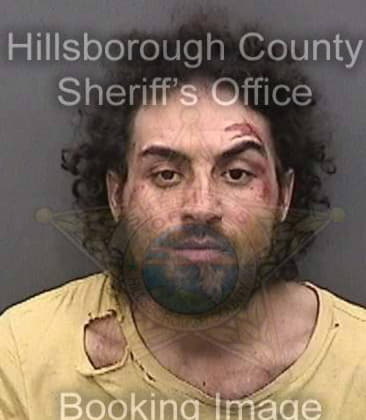 Michael Watson, - Hillsborough County, FL 