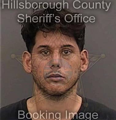 Carl Weamer, - Hillsborough County, FL 