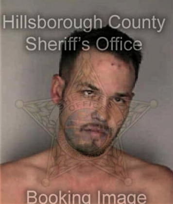 Christopher Figueroa, - Hillsborough County, FL 