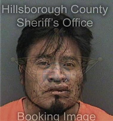 Daniel Golden, - Hillsborough County, FL 