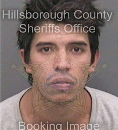 Brian Hudson, - Hillsborough County, FL 