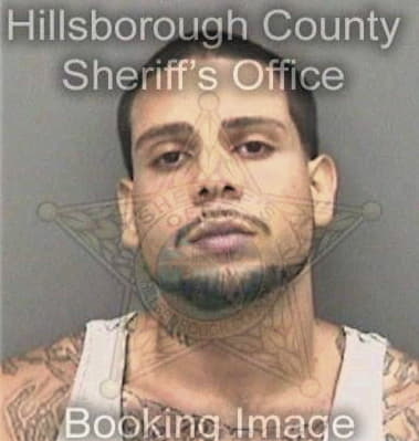 Michael McGuire - Hillsborough County, FL 