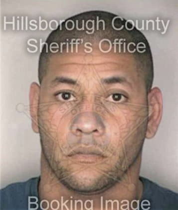 Francis Merrigan - Hillsborough County, FL 
