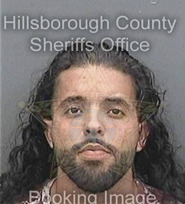 Sean Micale - Hillsborough County, FL 