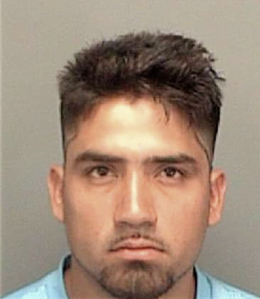 Alfonso Monroyamador, - Pinellas County, FL 