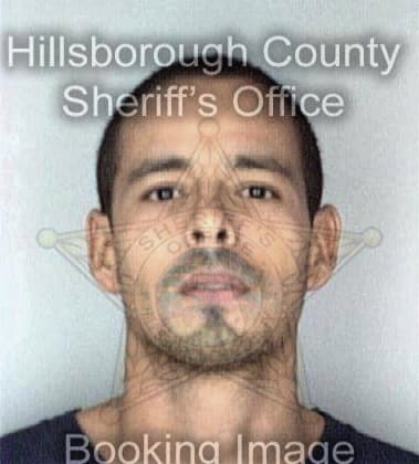 Martin Pitts, - Hillsborough County, FL 