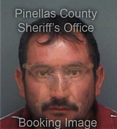 Alvaro Andresmesaflorez, - Pinellas County, FL 