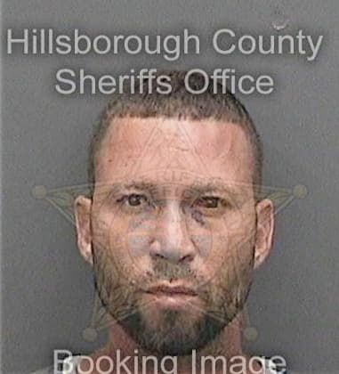 Ryan McCarthy - Hillsborough County, FL 