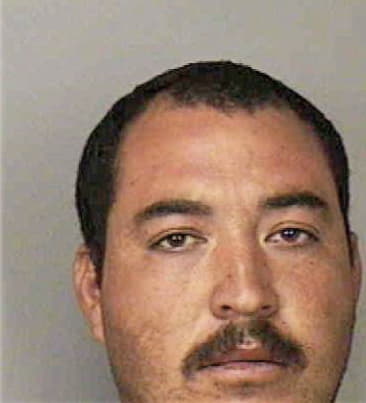 Andrew McLaulin - Polk County, FL 