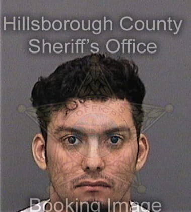 Michael Peregolise, - Hillsborough County, FL 