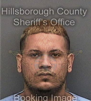 Daniel Preston, - Hillsborough County, FL 